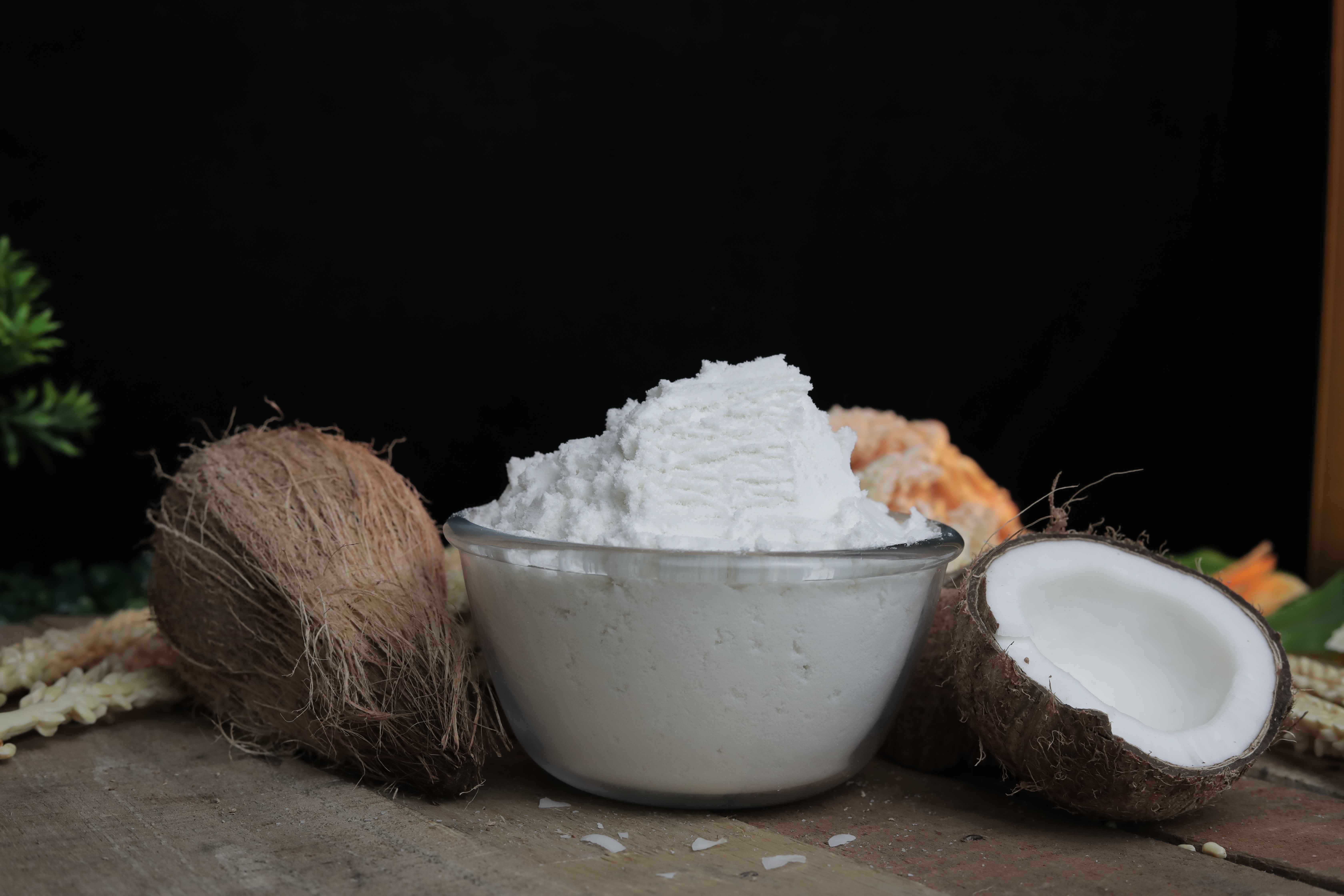 Tropical Coconut Milk Powder 