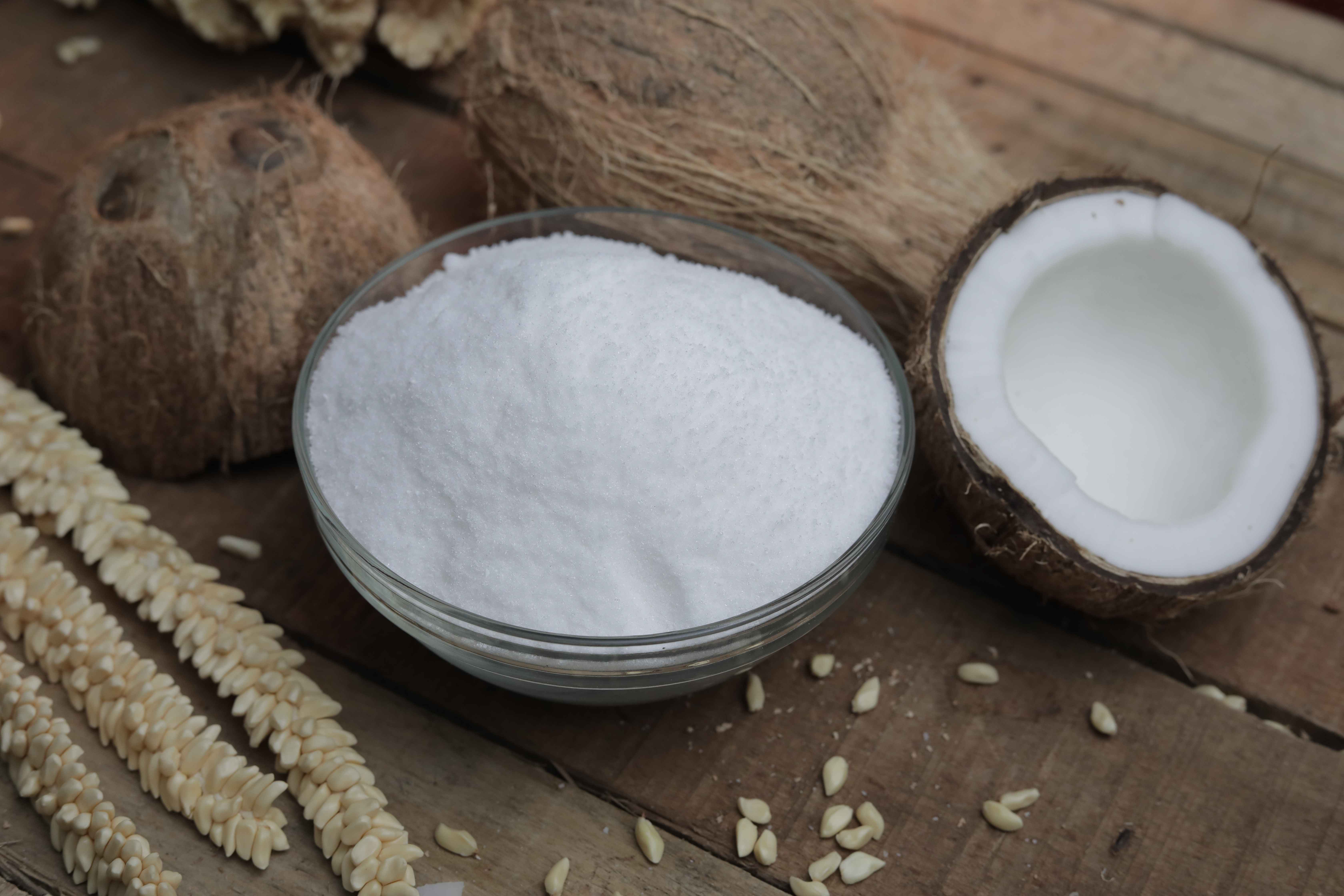 Tropical Coconut Milk Powder 